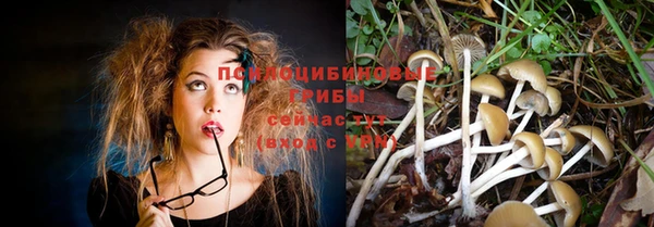 меф VHQ Инсар