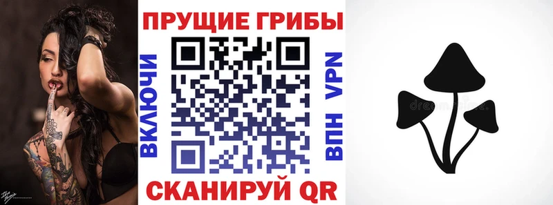 Псилоцибиновые грибы ЛСД  Купить где  Шуя 